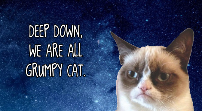 Grumpy Cat photo from Amazon