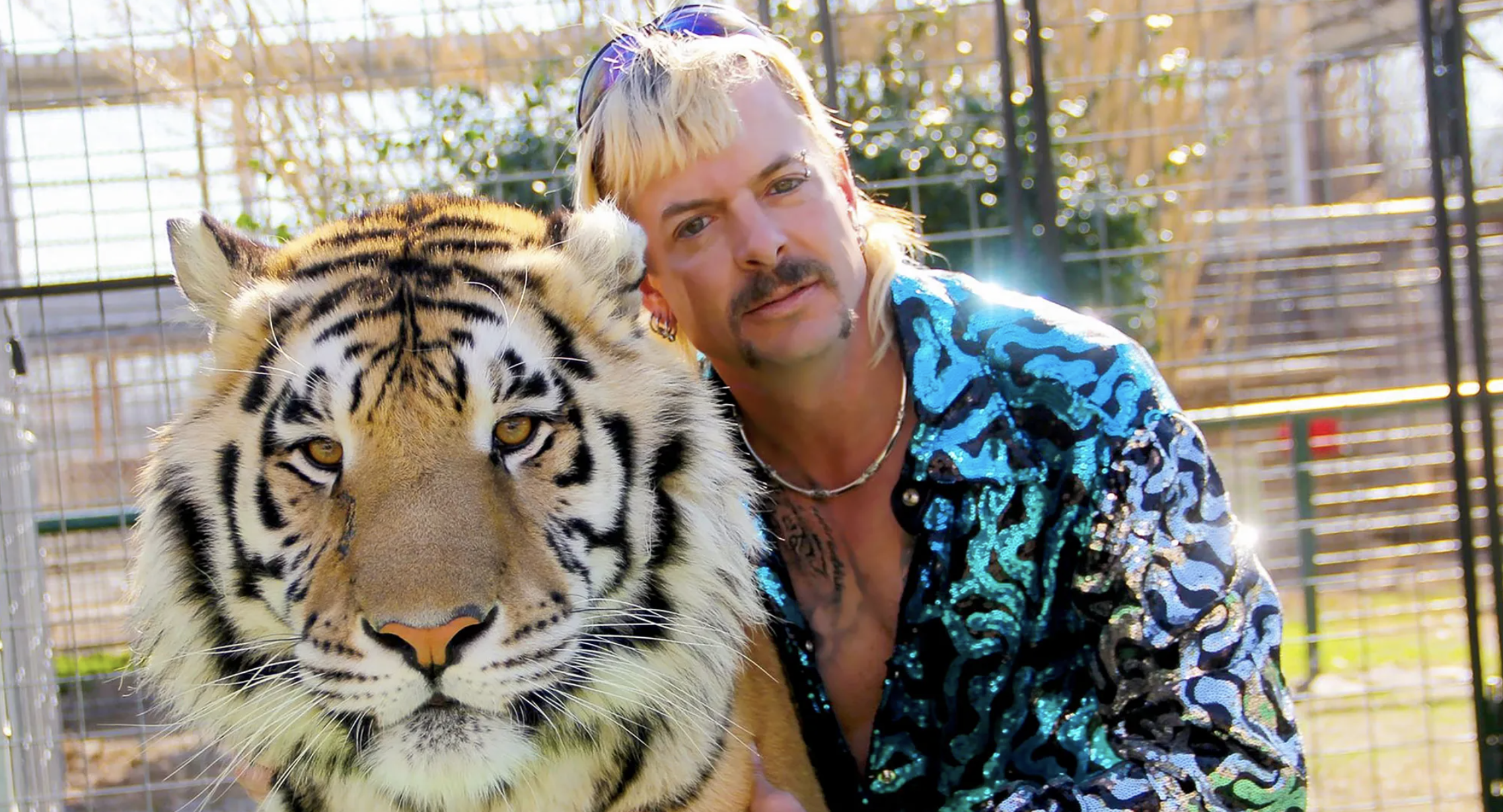 Tiger King 2 costume ideas
