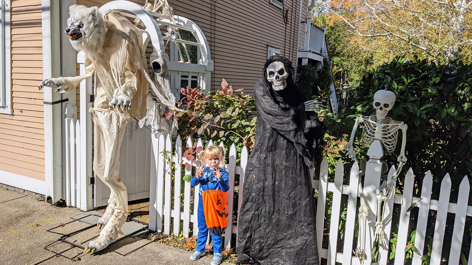 halloween costume ideas, featuring a werewolf, catboy and grim reaper