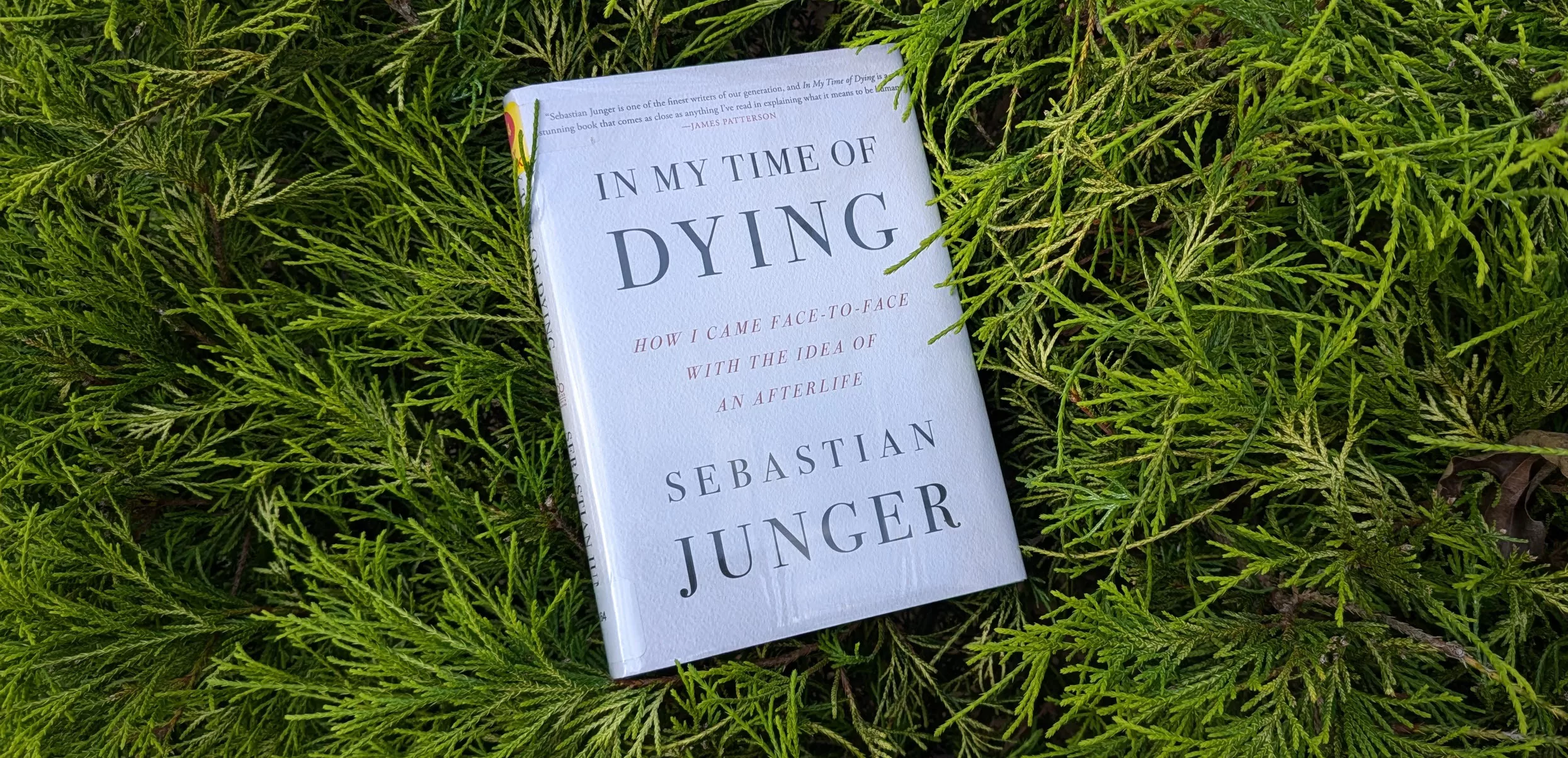 'in my time of dying' book, which I read and reviewed